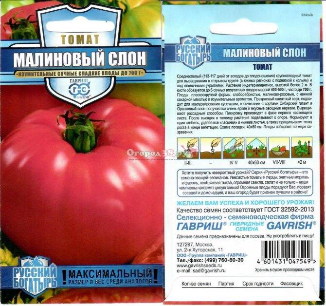 Новые лучшие сорта томатов на 2021 по вкусовым качествам |