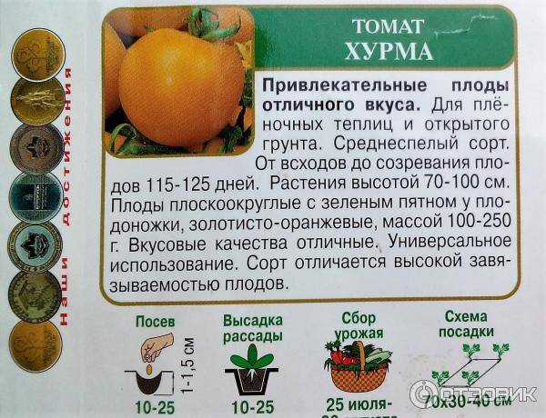 Томат хурма: характеристика и описание сорта, урожайность и выращивание, отзывы с фото