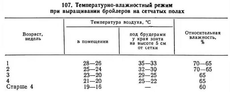 Таблица температурного режима для бройлеров, содержание месячных цыплят