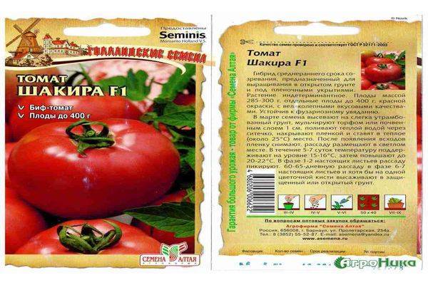 Агротехника томатов шаста f1