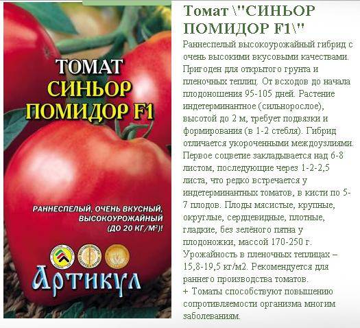 Томат сеньор помидор: описание сорта, отзывы, фото