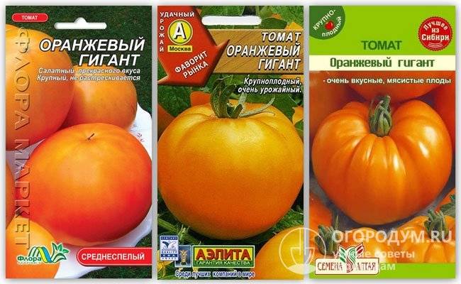 Характеристика и описание сорта томата Исполин, его урожайность