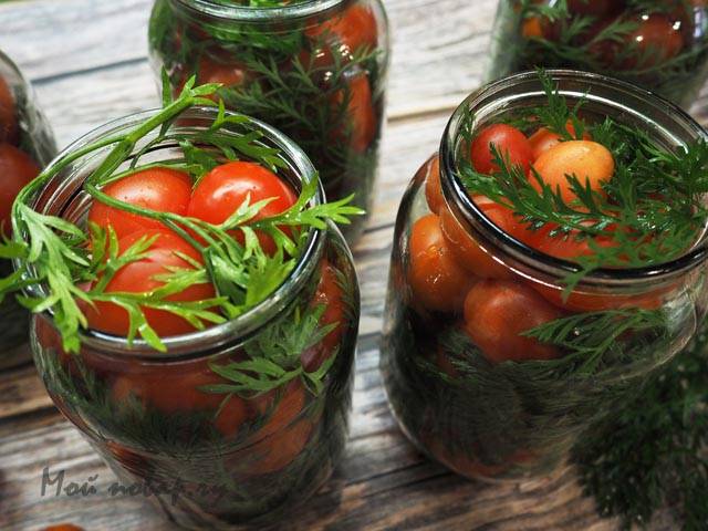 Огурцы с морковной ботвой на зиму – 10 рецептов с фото