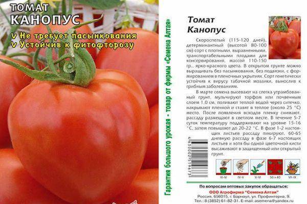 Гибриды тарасенко (разные) - сорта томатов - tomat-pomidor.com - форум