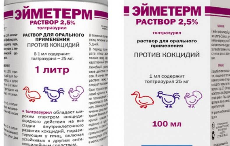 Витамины — основа зимнего рациона для кроликов