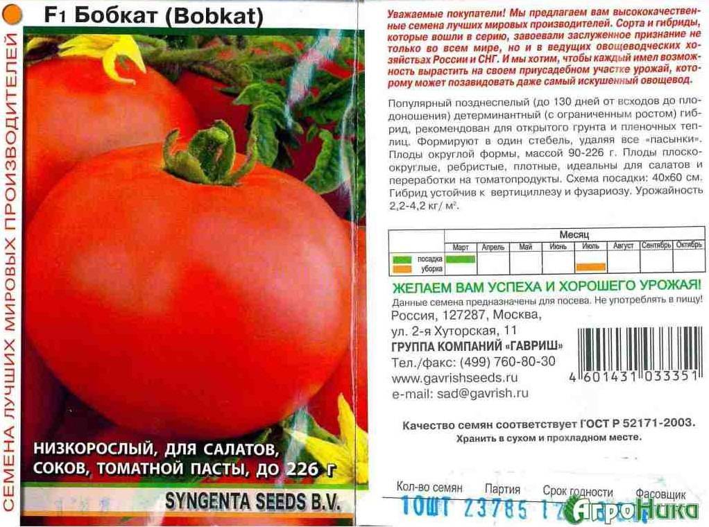 Характеристика и описание сорта томата Бобкат, его урожайность