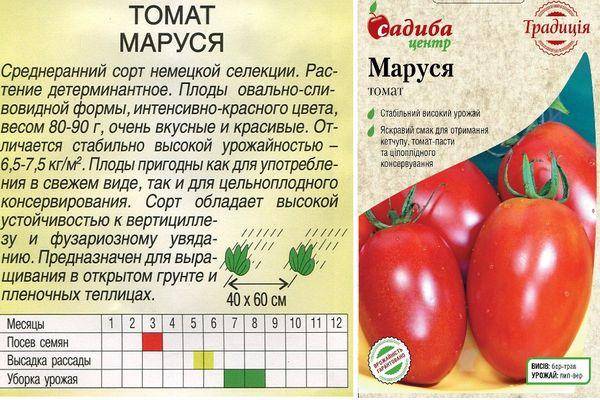 Томат маруся: описание сорта, отзывы, фото, урожайность | tomatland.ru