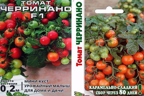 Описание сорта томата Черринано его способы выращивания