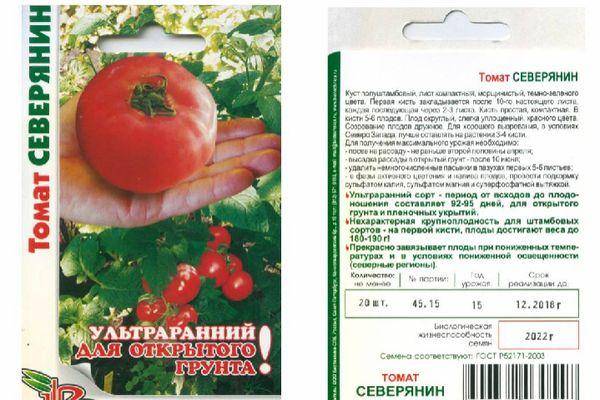 Удивительные помидоры с причудливым видом — томат лампочка: описание сорта и его характеристики
