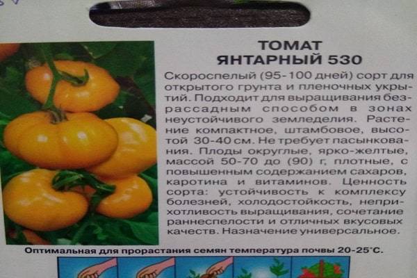 Описание сорта томата марьюшка, особенности выращивания и ухода