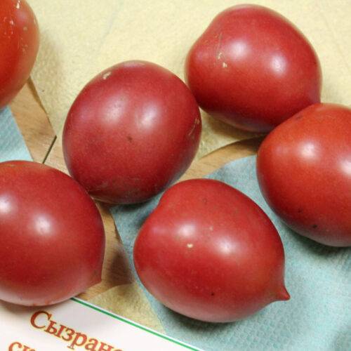 Бесподобные урожаи мясистых вкусных плодов — томат розовый сызранский: описание сорта и советы по выращиванию