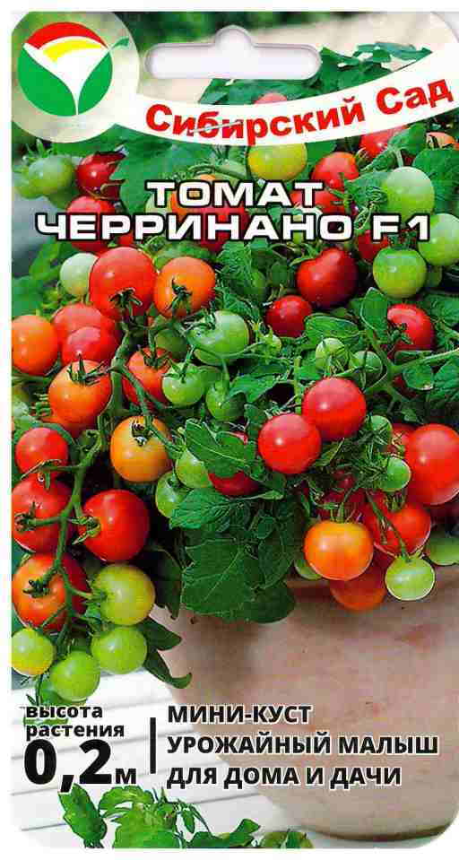 Томат «черри ира» f1: описание сорта, фото, особенности посадки и ухода за помидором русский фермер