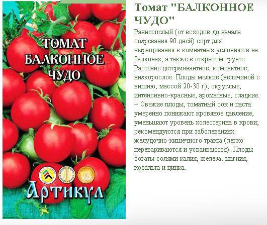 Описание экзотических томатов сорта дрова и правила выращивания