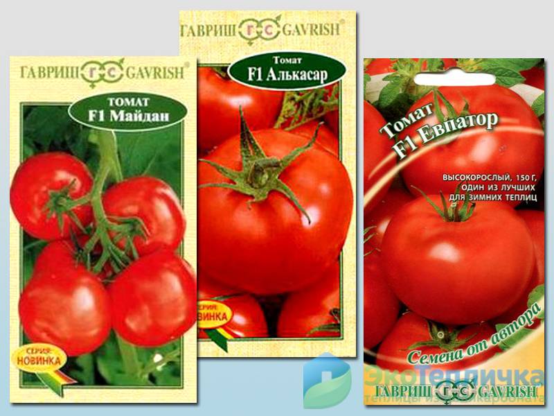 Лучшие сорта томатов для теплиц из поликарбоната.