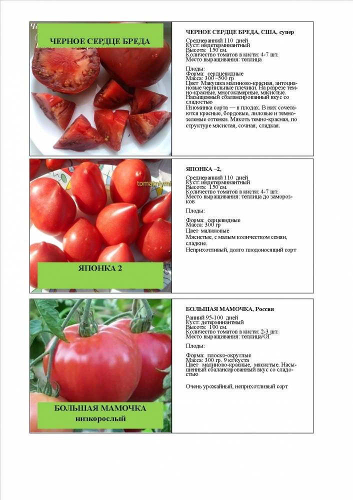Томат «тайфун» f1: характеристики и описание сорта помидор, морозостойкость, урожайность, подверженность заболеваниям