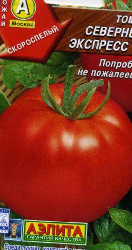 Выращивание помидоров от а до я ????— на личном опыте