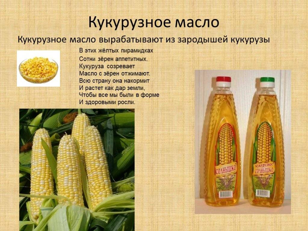 Какими полезными свойствами обладает кукуруза?