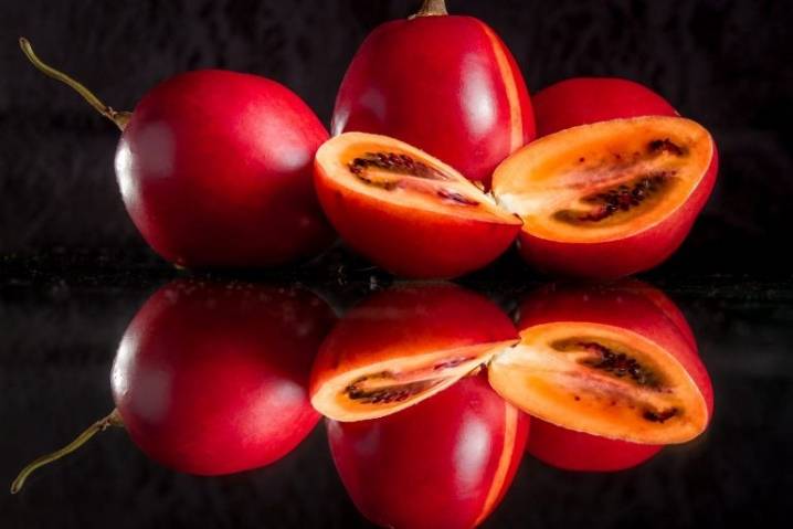 Как вырастить томатное (помидорное) дерево спрут f1 в открытом грунте