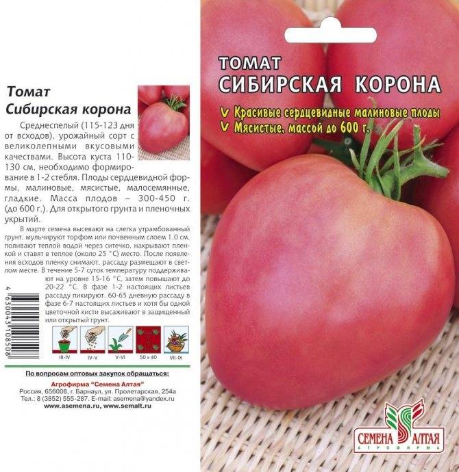 Штамбовые помидоры: что это такое, лучшие сорта, агротехника