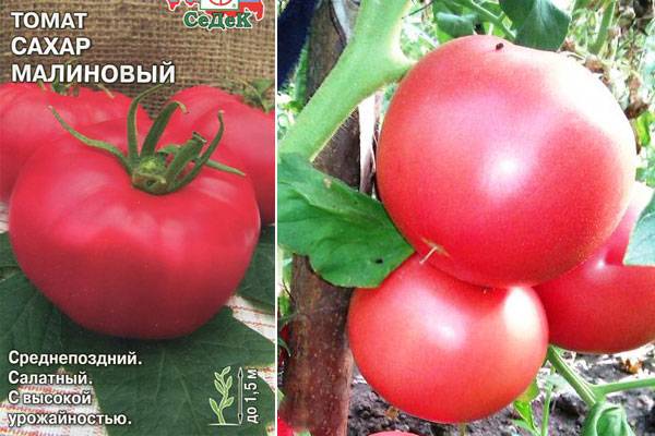 Характеристики отличных гибридных томатов серии «золотое малиновое чудо»