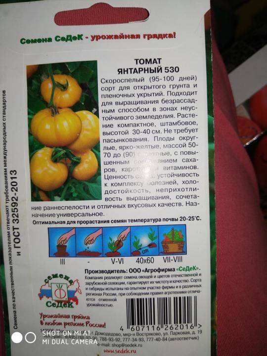 Крупноплодный томат алсу