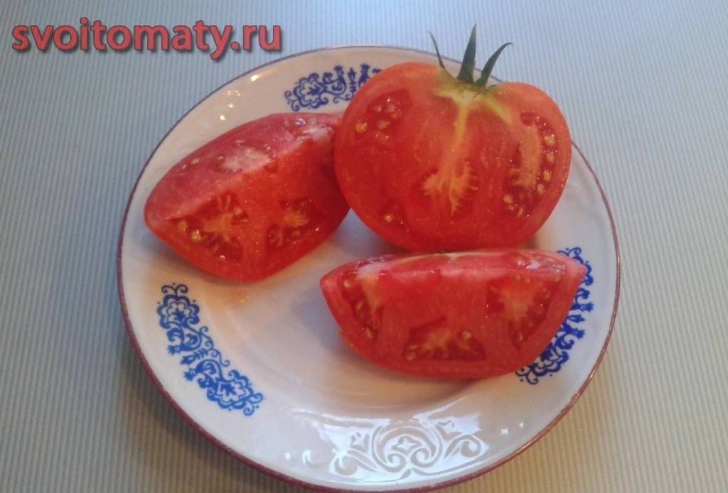 Томат кумир: описание сорта, отзывы, фото | tomatland.ru