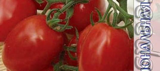 Описание томата 100 процентов f1, выращивание и отзывы овощеводов. раннеспелый сорт помидоров (томатов) «100% f1»