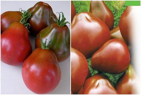 ✅ томат груша черная отзывы фото урожайность - питомник46.рф