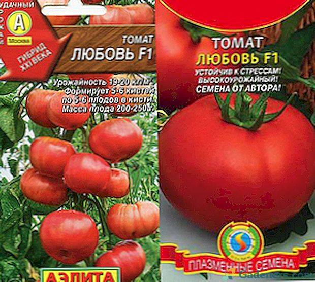 Сорт помидор "катюша": описание, характеристики, фото-материалы, рекомендации по уходу и выращиванию