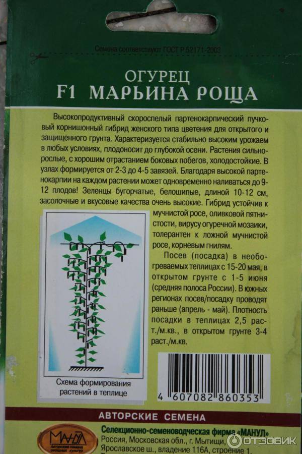 Огурец марьина роща f1 8 фото описание сорта и отзывы
