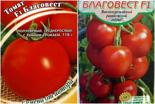 Томат аленушка: характеристика и описание сорта, фото и отзывы об урожайности помидоров