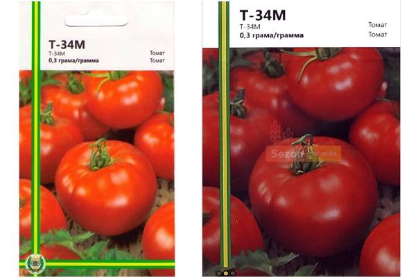 Характеристика и описание сорта помидор Т 34, его выращивание