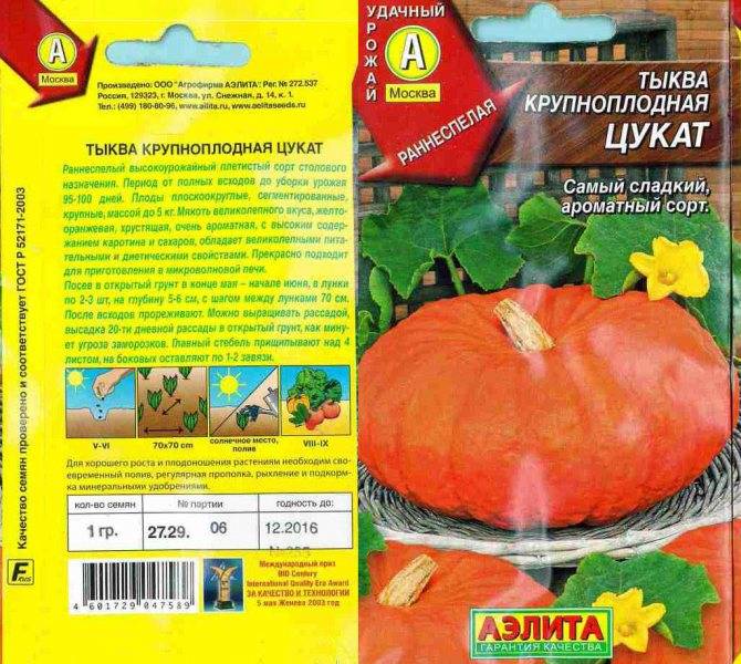 Обзор сортов медовых тыкв с фотографиям и отзывами