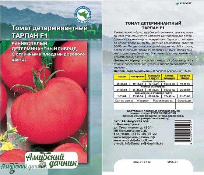 Характеристика и описание томата “сибирский изобильный”