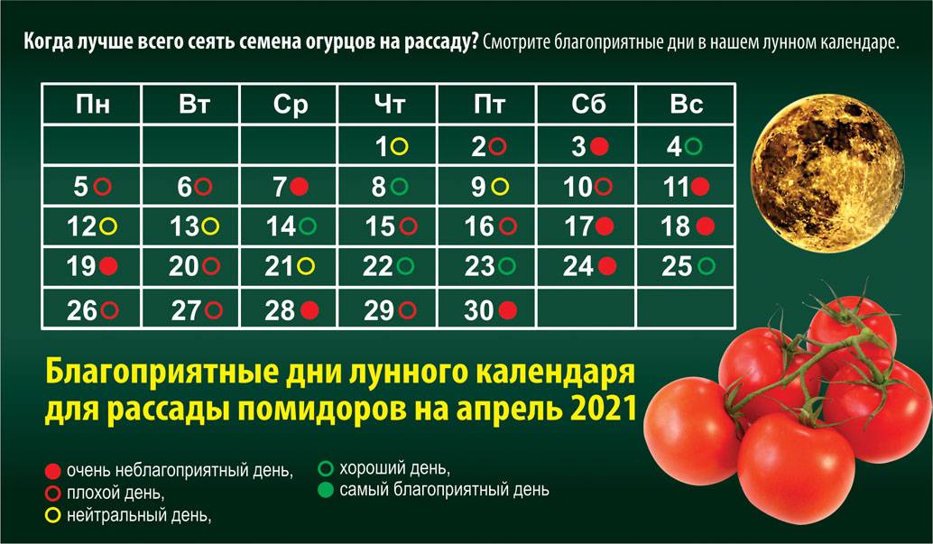 Благоприятные дни для посева томатов на рассаду в 2020 году по лунному календарю в подмосковье, на урале, в сибире, в ленинградской области