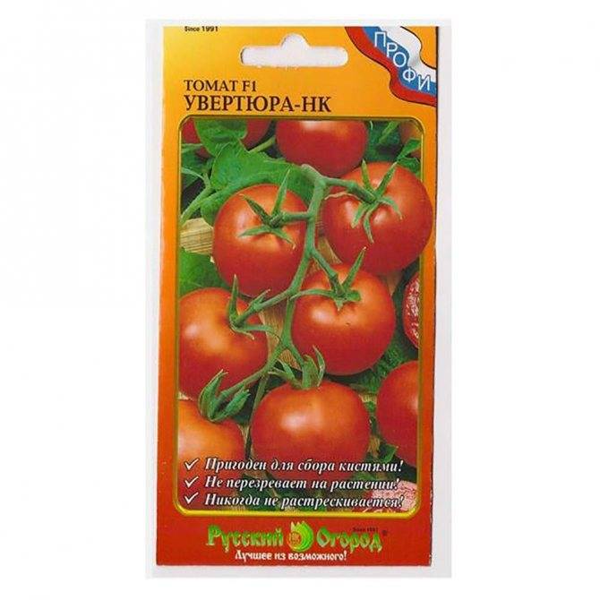 Томат увертюра f1 нк: отзывы об урожайности помидоров, характеристика и описание сорта, фото семян