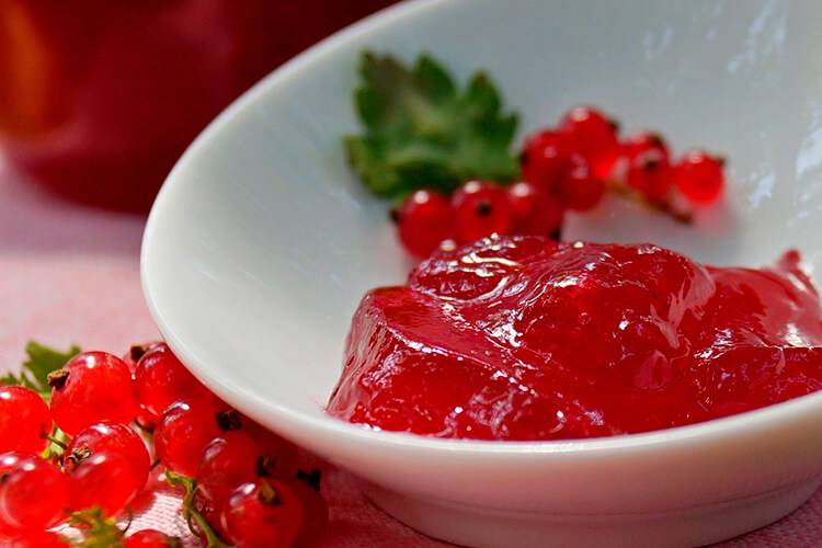 Желе из красной смородины без варки на зиму – 7 простых рецептов с фото пошагово