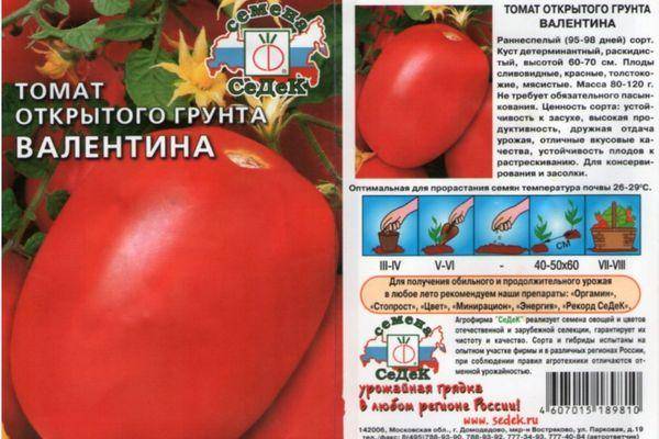 Для консервирования подойдет томат «засолочный деликатес»: подробное описание сорта