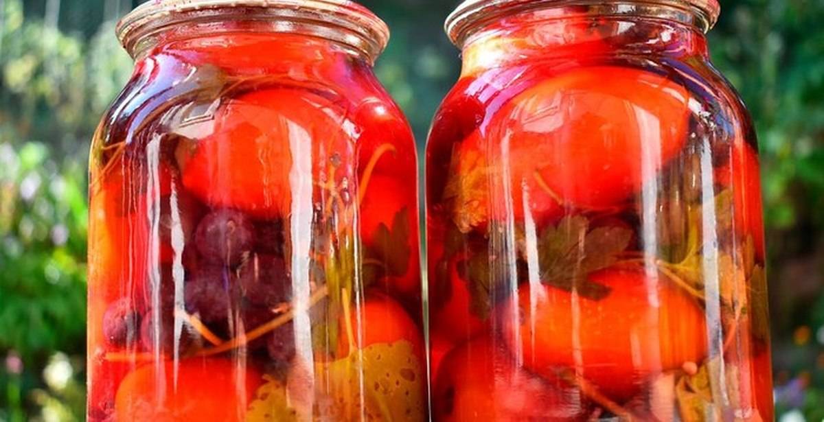 Вкусные помидоры на зиму с виноградом - особенности приготовления, рецепты и отзывы :: syl.ru