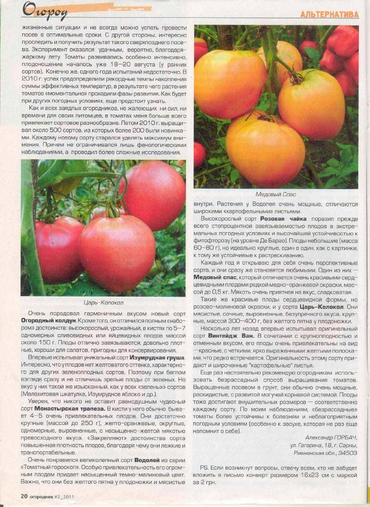 Характеристика и описание сорта томата мамонт, его урожайность