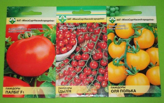 Томат цитрусовый сад: характеристика и описание сорта, отзывы дачников с фото