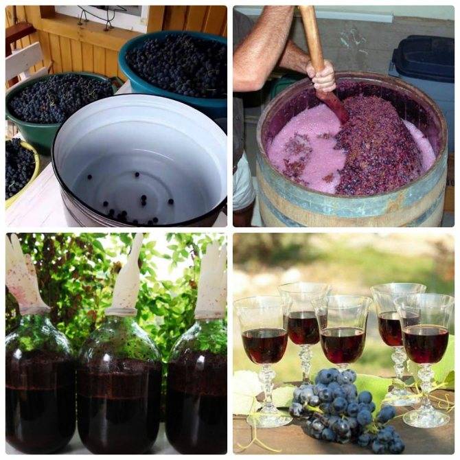 Сухое вино из винограда - простые пошаговые рецепты для приготовления в домашних условиях