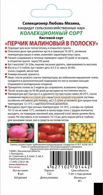 Томат перчик: характеристика и описание сорта, отзывы об урожайности помидоров, фото куста