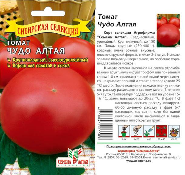 Описание универсального сорта томата засолочное чудо и рекомендации по выращиванию