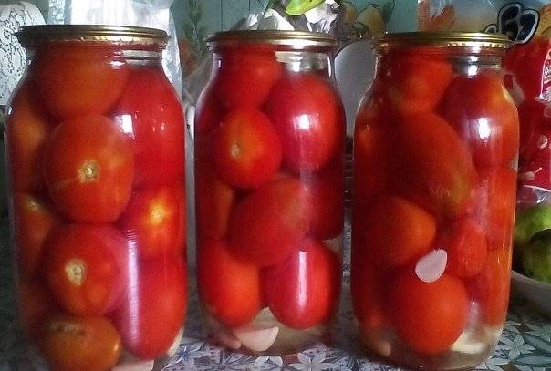 Причины помутнения консервации помидор и огурцов, как спасти заготовку и что делать чтобы рассол оставался прозрачным
