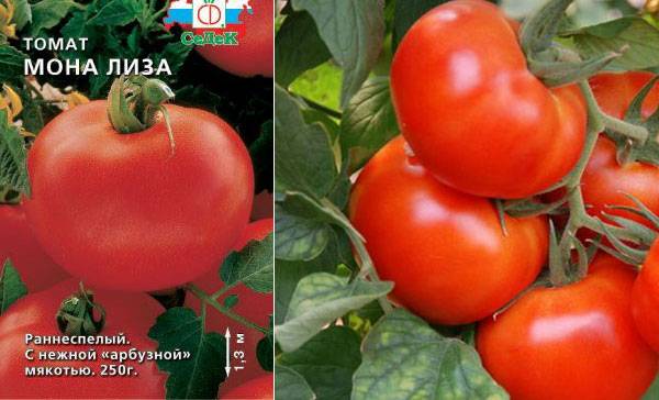 Семена:томат королева елизавета. томаты, семена овощей. , , . продажа и доставка по краснодару и россии.