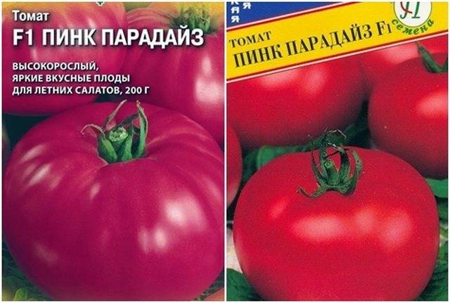 Характеристика гибридов томат «пинк парадайз f1». отзывы на основе отзывов и фото куста