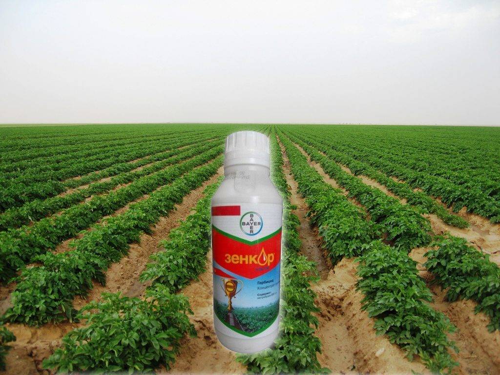 Применение гербицидов в сельском хозяйстве и теплицах