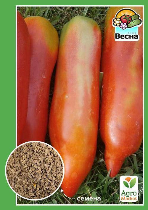 Описание селекционного томата дядя степа и агротехника выращивания сорта