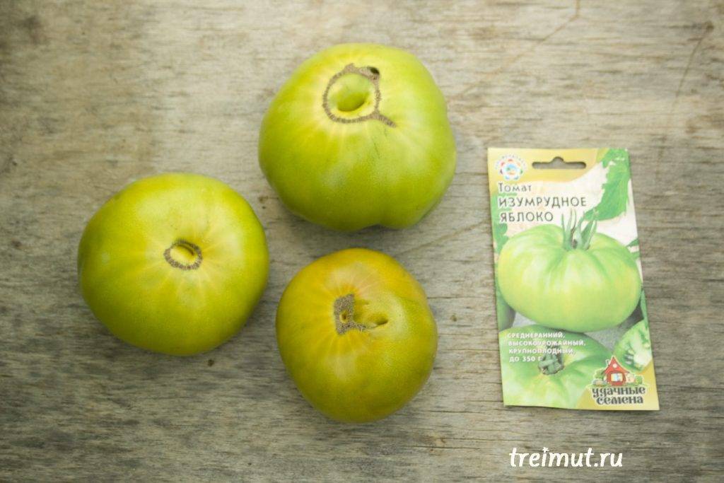 Описание сорта томата Сибирское яблоко, характеристика и урожайность